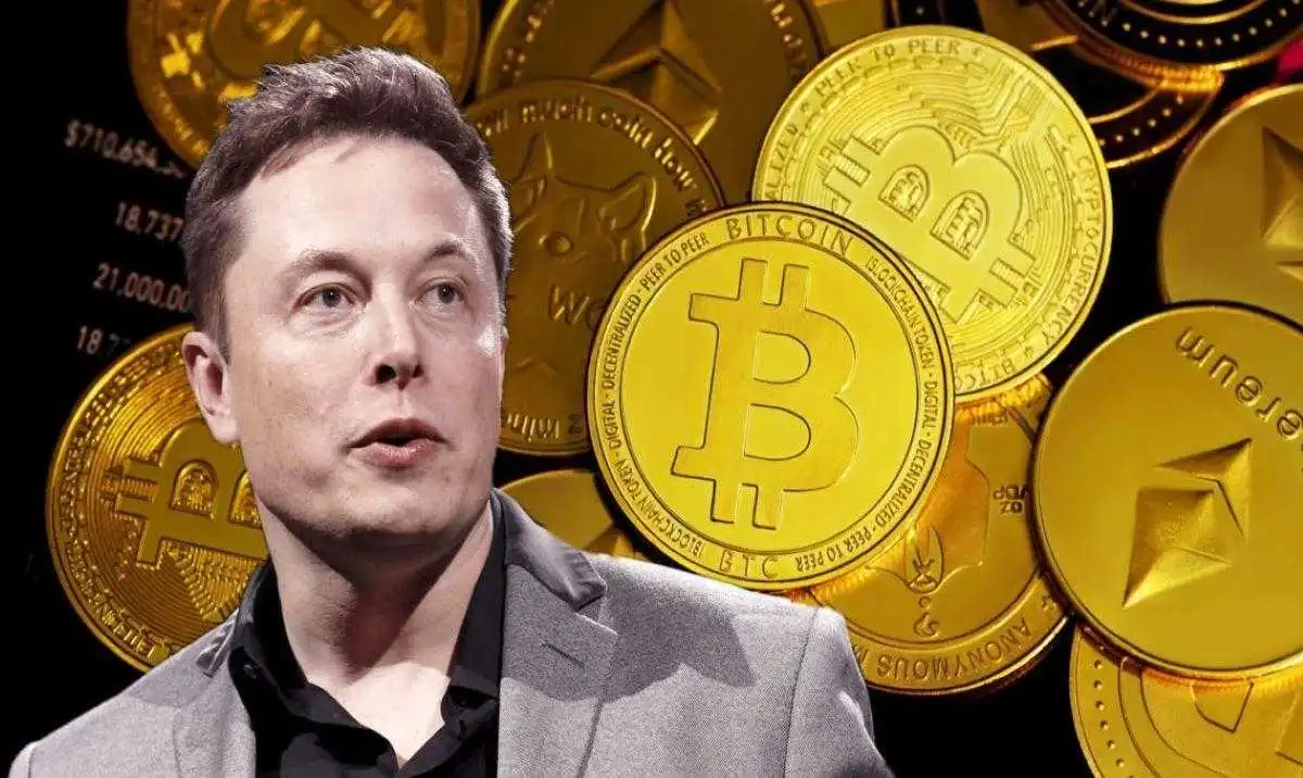 elon musk crypto